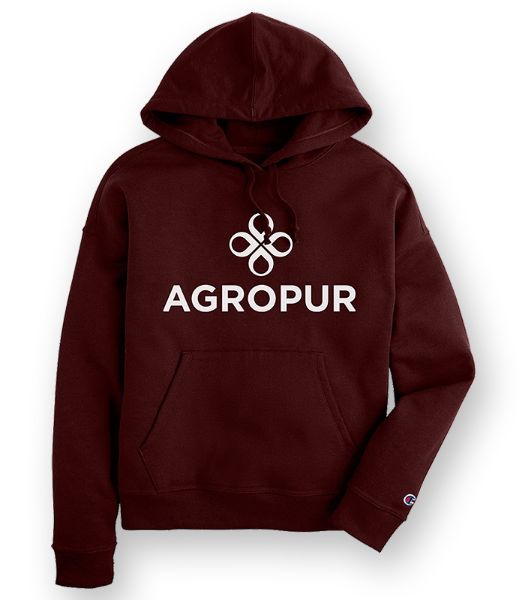 Picture of S760  -Champion Ladies Hoody