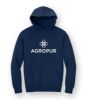 Picture of DT6150 - Heavyweight Fleece Hoody