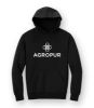 Picture of DT6150 - Heavyweight Fleece Hoody