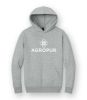 Picture of DT6150 - Heavyweight Fleece Hoody